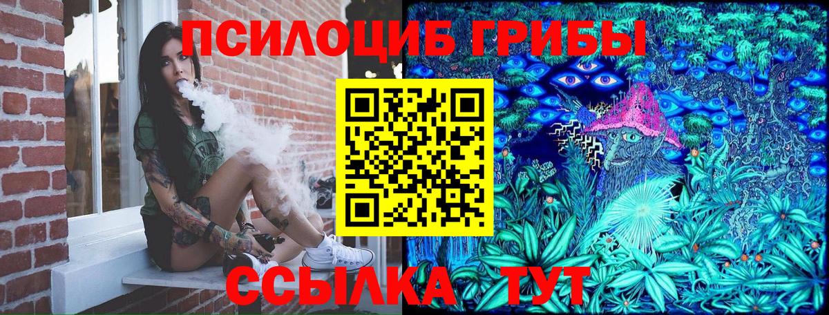 где купить наркоту  Вход с VPN  Джанкой  Галлюциногенные грибы Psilocybe  Галлюциногенные грибы Cubensis 